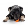 Planet Dog Squeak Ball - orange 7.5cm