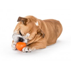 Planet Dog Squeak Ball - orange 7.5cm