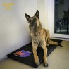Matte K9 schwarz K9® - Gelenkschonendes Hundebett 100x50x5cm