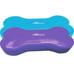 FitPAWS Giant FitBone Turquoise