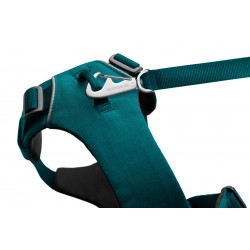 Front Range™ Harness - Tumalo Teal - S
