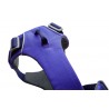Front Range™ Harness - Huckleberry Blue - XS