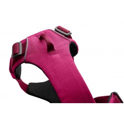 Front Range™ Harness - Hibiscus Pink - XXS