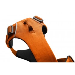 Front Range™ Harness - Campfire Orange - L/XL