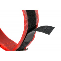 Gummiertes Halsband - Julius-K9 - 50mm - rot