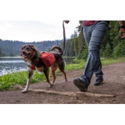 Ruffwear Front Range Day Pack - Red Clay - S