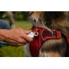 Ruffwear Front Range Day Pack - Red Clay - M