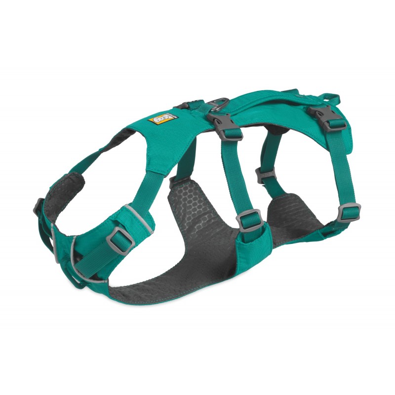 Flagline™ Harness - Meltwater Teal - S