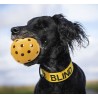 Lochball für blinde Hunde