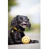 Lochball für blinde Hunde