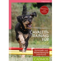 Cavalettitraining für Hunde, Rumpf