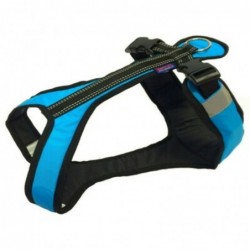 Harness SHORT L - turquoise