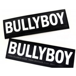 Logo Bullyboy