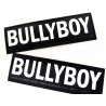 Logo Bullyboy