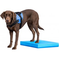 Dog Balance Pad
