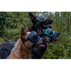 Hundebrille Rex Specs V2 - L - Schwarz