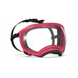 Hundebrille Rex Specs V2 - L - Pink