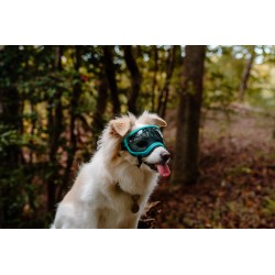 Hundebrille Rex Specs V2 - M - OD Green