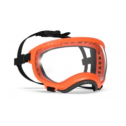 Hundebrille Rex Specs V2 - S - Orange