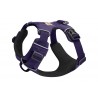 Front Range™ Harness - Purple Sage - S