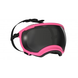 Rex Specs V2 - L - Neon Pink Limited