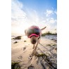 Hundebrille Rex Specs - Limited Edition Neon Pink