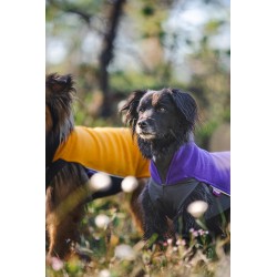Jumppa Pomppa Hundemantel - 31cm - violett