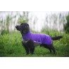 Jumppa Pomppa Hundemantel - 34cm - violett