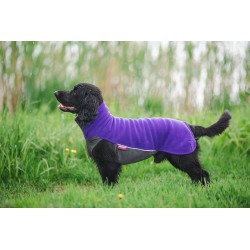 Jumppa Pomppa Hundemantel - 40cm - violett
