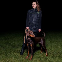 Hundesportweste Manchester - M - schwarz