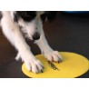FitPAWS Targets (4)