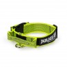 Gummiertes Halsband - Julius-K9 - 50mm - neongelb