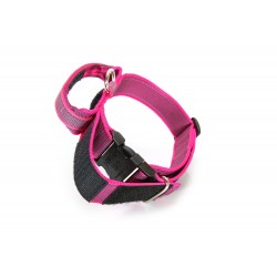 Gummiertes Halsband - Julius-K9 - 50mm - pink