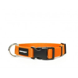Nylon Halsband Profi 25mm neon orange 50-60cm