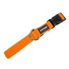 Nylon Halsband Profi 25mm neon orange 30-40cm