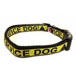 Service Dog Halsband - XL - 2.5cm/45-65cm