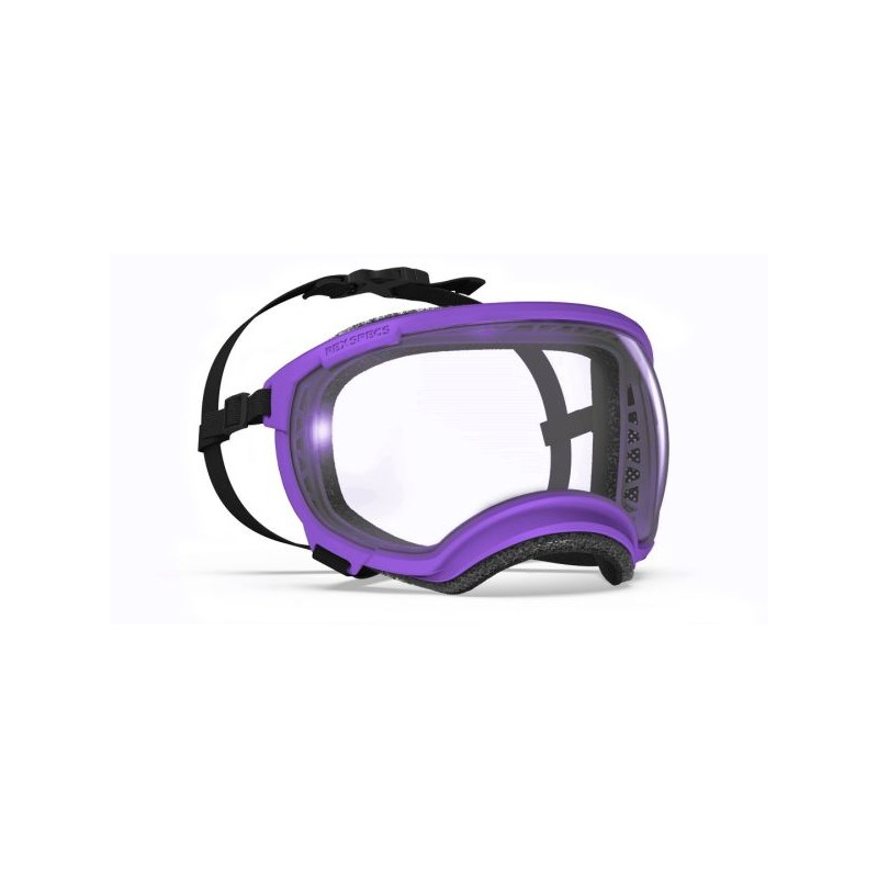 Hundebrille Rex Specs V2 - L - Pike Purple