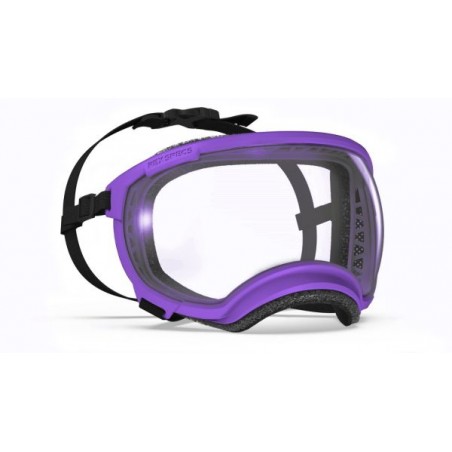 Hundebrille Rex Specs V2 - L - Pike Purple