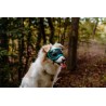 Hundebrille Rex Specs V2 - XS - Bighorn Blue