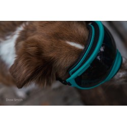 Hundebrille Rex Specs V2 - XS - Bighorn Blue