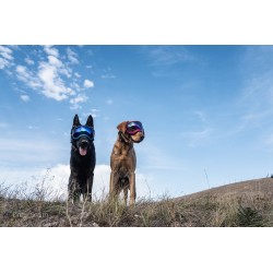 Hundebrille Rex Specs V2 - XL - Bighorn Blue