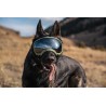 Hundebrille Rex Specs V2 - L - Bighorn Blue