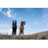 Hundebrille Rex Specs V2 - L - Bighorn Blue