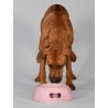 umweltfreundlicher Hundenapf - L - rosa