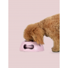 umweltfreundlicher Hundenapf - M - rosa