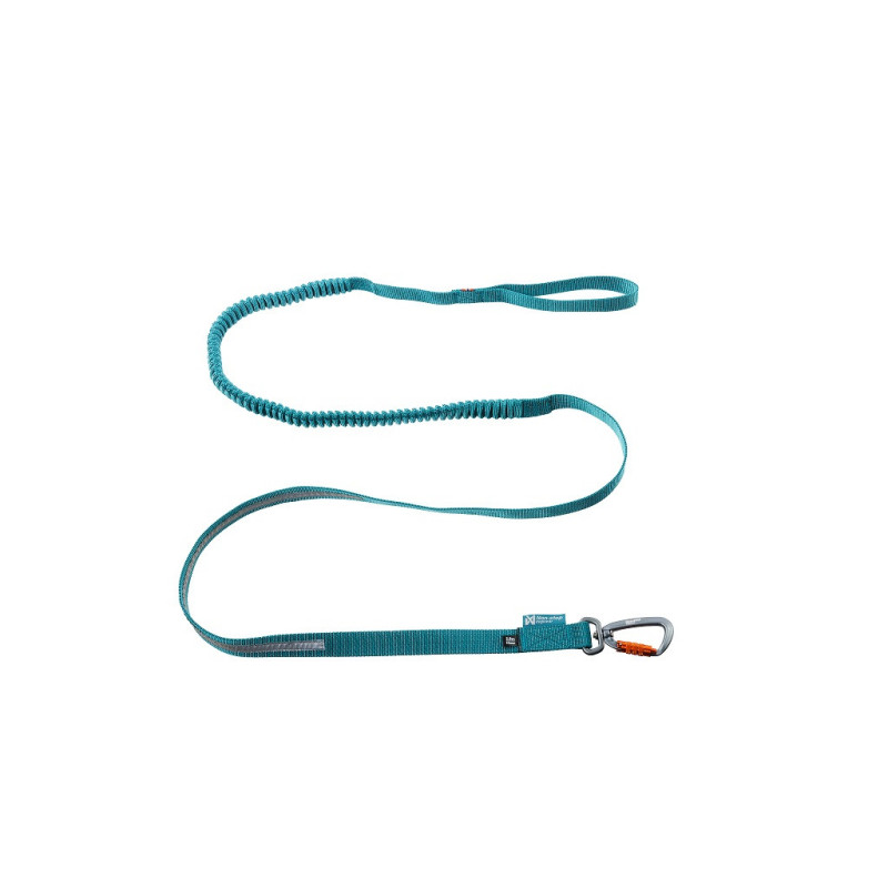 Touring Bungee Leash - 23mm/2m - teal