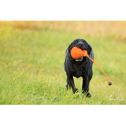 Dummy Ball - 150g - orange