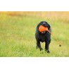 Dummy Ball Marking - 300g - schwarz/orange